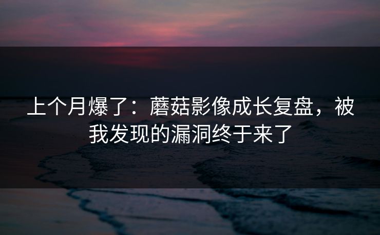 上个月爆了：蘑菇影像成长复盘，被我发现的漏洞终于来了